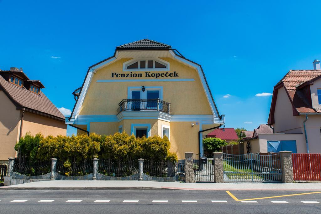 Penzion Slunce Česká Lípa 객실 사진